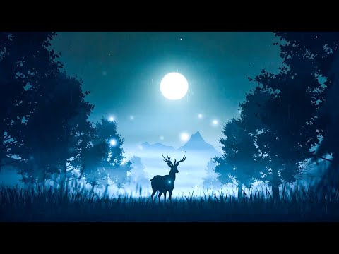 One Piece Chapter 988: Eiichiro Oda Under Moonlight Leaked Photo, Raw