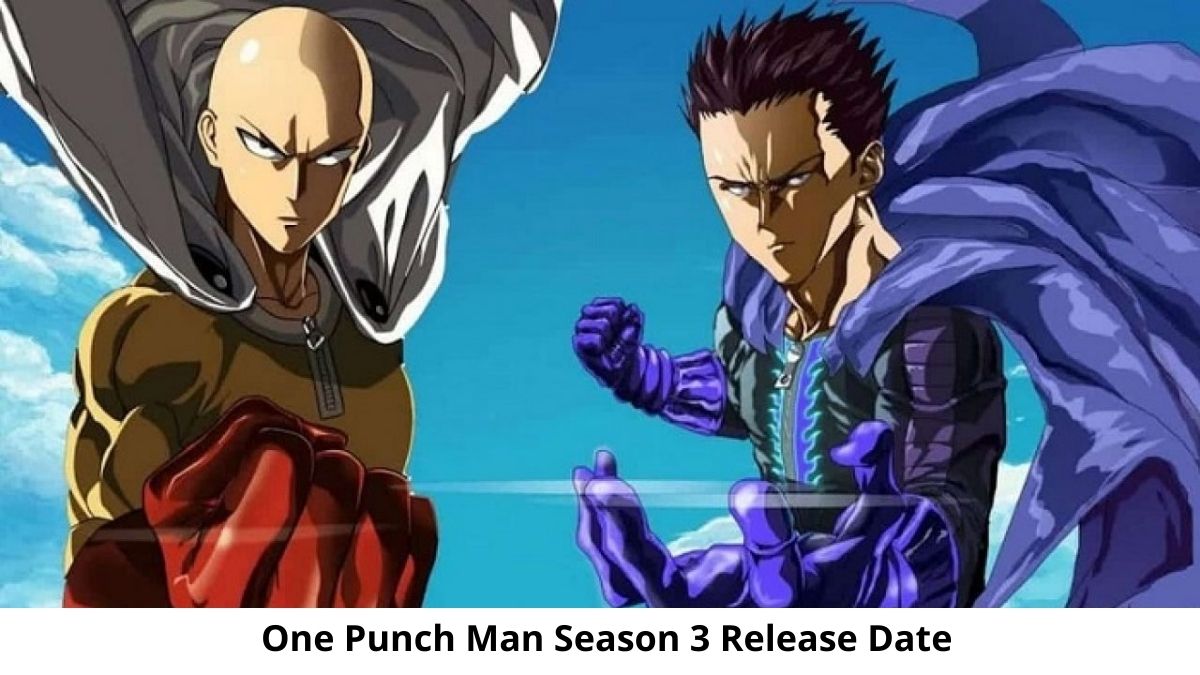 One-Punch Man Watch Order Guide (Arcs, OVAs More), 49% OFF - How Many Seasons Does One Punch Man Have
